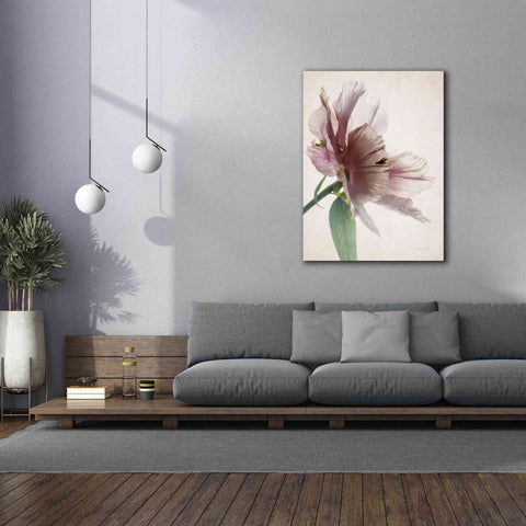 Image of 'Translucent Peony II' by Debra Van Swearingen, Canvas Wall Art,40 x 54