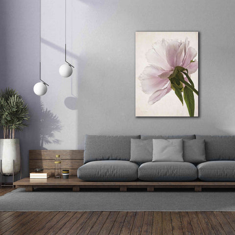 Image of 'Translucent Peony III' by Debra Van Swearingen, Canvas Wall Art,40 x 54