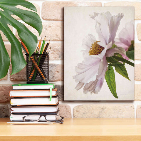 Image of 'Translucent Peony IV' by Debra Van Swearingen, Canvas Wall Art,12 x 16
