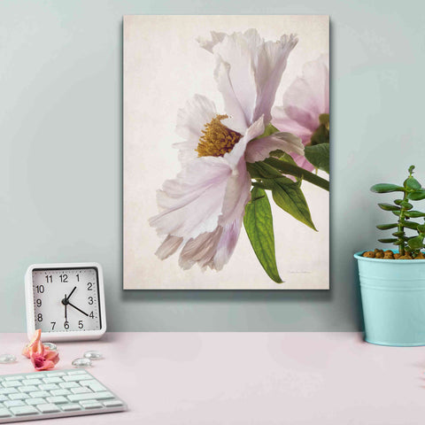 Image of 'Translucent Peony IV' by Debra Van Swearingen, Canvas Wall Art,12 x 16
