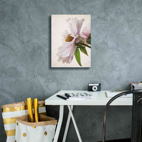Image of 'Translucent Peony IV' by Debra Van Swearingen, Canvas Wall Art,12 x 16