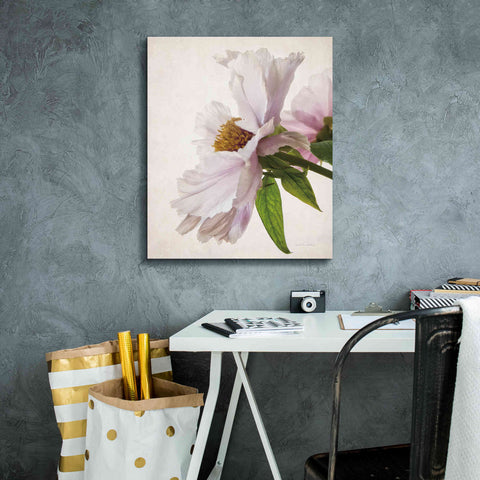 Image of 'Translucent Peony IV' by Debra Van Swearingen, Canvas Wall Art,20 x 24
