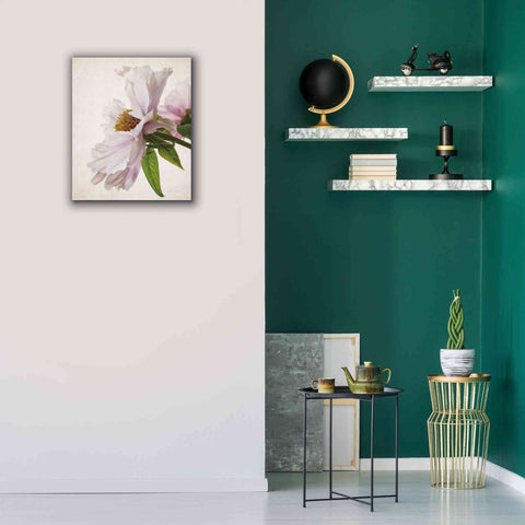 Image of 'Translucent Peony IV' by Debra Van Swearingen, Canvas Wall Art,20 x 24