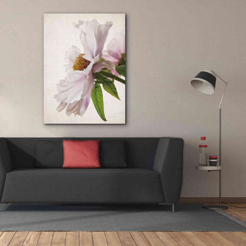 Image of 'Translucent Peony IV' by Debra Van Swearingen, Canvas Wall Art,40 x 54