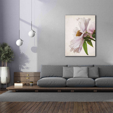 Image of 'Translucent Peony IV' by Debra Van Swearingen, Canvas Wall Art,40 x 54