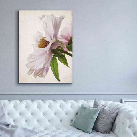 Image of 'Translucent Peony IV' by Debra Van Swearingen, Canvas Wall Art,40 x 54