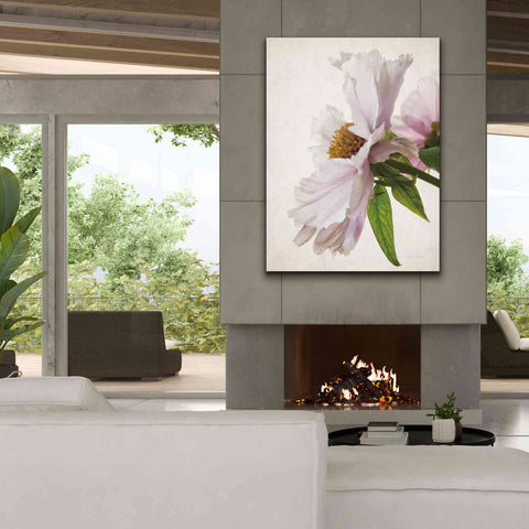 Image of 'Translucent Peony IV' by Debra Van Swearingen, Canvas Wall Art,40 x 54