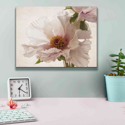 Image of 'Translucent Peony V' by Debra Van Swearingen, Canvas Wall Art,16 x 12