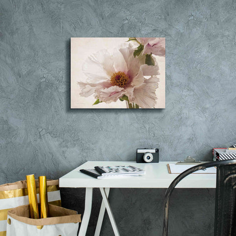 Image of 'Translucent Peony V' by Debra Van Swearingen, Canvas Wall Art,16 x 12