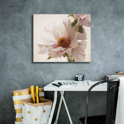 Image of 'Translucent Peony V' by Debra Van Swearingen, Canvas Wall Art,24 x 20