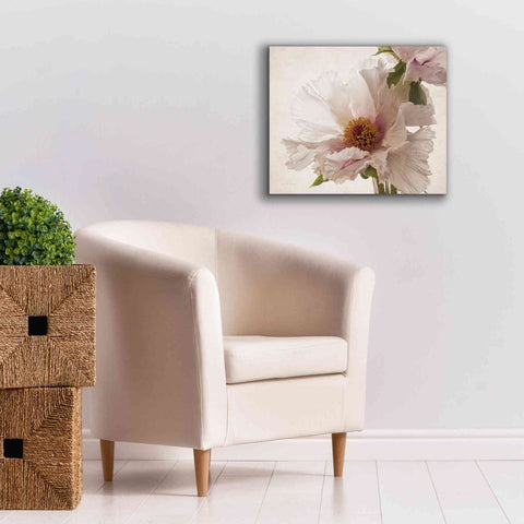 Image of 'Translucent Peony V' by Debra Van Swearingen, Canvas Wall Art,24 x 20
