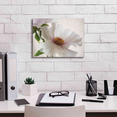 Image of 'Translucent Peony VI' by Debra Van Swearingen, Canvas Wall Art,16 x 12