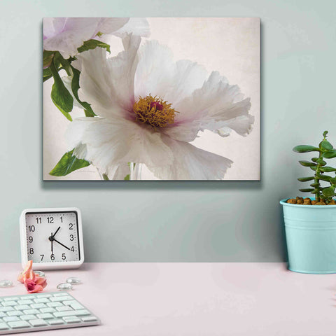 Image of 'Translucent Peony VI' by Debra Van Swearingen, Canvas Wall Art,16 x 12