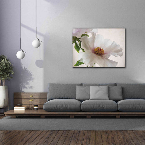 Image of 'Translucent Peony VI' by Debra Van Swearingen, Canvas Wall Art,54 x 40