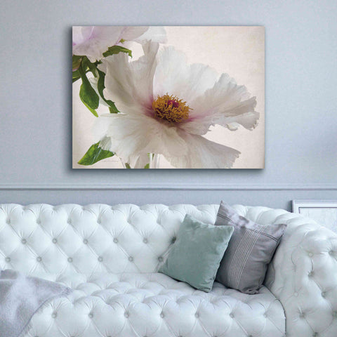 Image of 'Translucent Peony VI' by Debra Van Swearingen, Canvas Wall Art,54 x 40