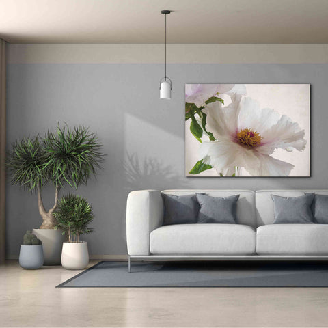 Image of 'Translucent Peony VI' by Debra Van Swearingen, Canvas Wall Art,54 x 40