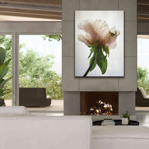 Image of 'Translucent Peony VII' by Debra Van Swearingen, Canvas Wall Art,40 x 54