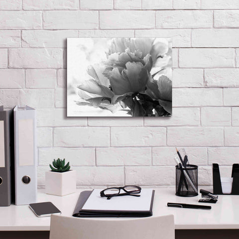 Image of 'Translucent Peony IBW' by Debra Van Swearingen, Canvas Wall Art,16 x 12