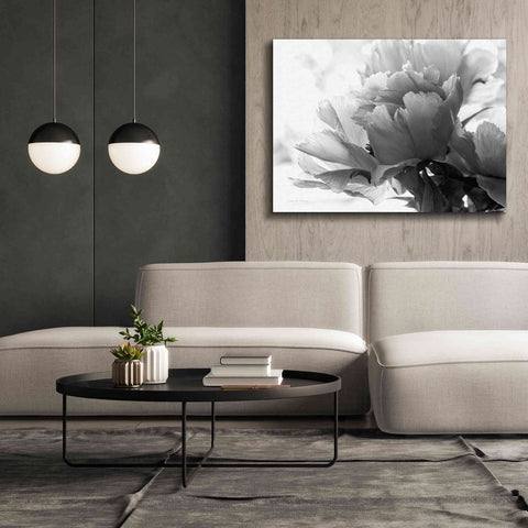 Image of 'Translucent Peony IBW' by Debra Van Swearingen, Canvas Wall Art,54 x 40