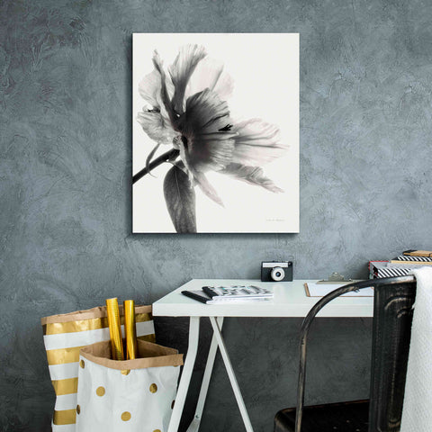 Image of 'Translucent Peony IIBW' by Debra Van Swearingen, Canvas Wall Art,20 x 24