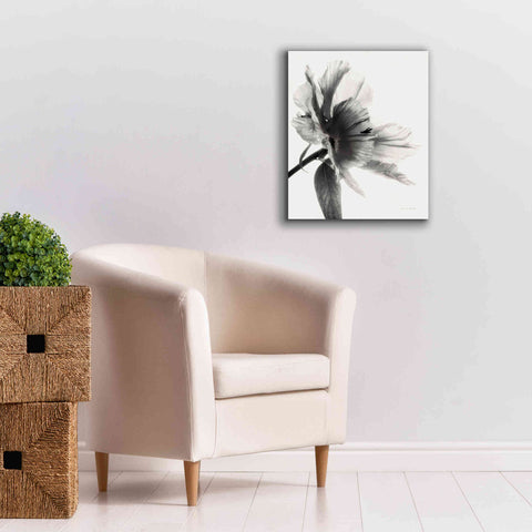 Image of 'Translucent Peony IIBW' by Debra Van Swearingen, Canvas Wall Art,20 x 24