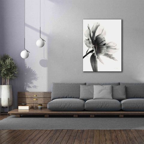 Image of 'Translucent Peony IIBW' by Debra Van Swearingen, Canvas Wall Art,40 x 54