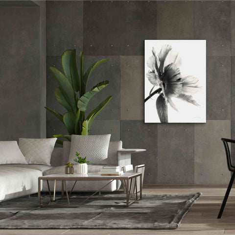 Image of 'Translucent Peony IIBW' by Debra Van Swearingen, Canvas Wall Art,40 x 54