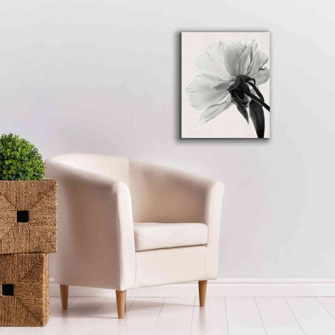 Image of 'Translucent Peony IIIBW' by Debra Van Swearingen, Canvas Wall Art,20 x 24