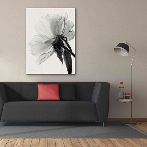 Image of 'Translucent Peony IIIBW' by Debra Van Swearingen, Canvas Wall Art,40 x 54