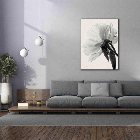 Image of 'Translucent Peony IIIBW' by Debra Van Swearingen, Canvas Wall Art,40 x 54