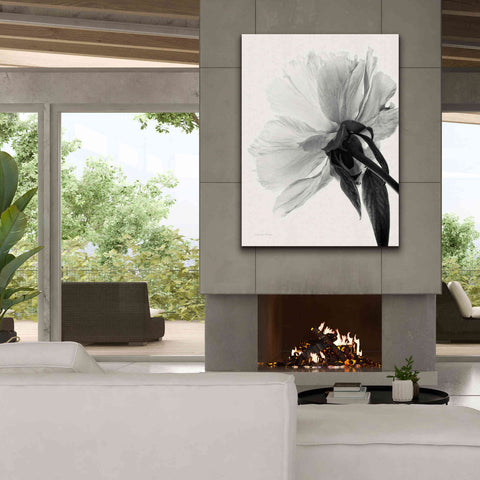 Image of 'Translucent Peony IIIBW' by Debra Van Swearingen, Canvas Wall Art,40 x 54