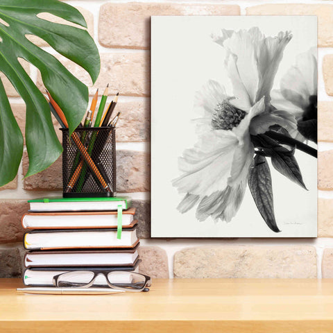 Image of 'Translucent Peony IVBW' by Debra Van Swearingen, Canvas Wall Art,12 x 16