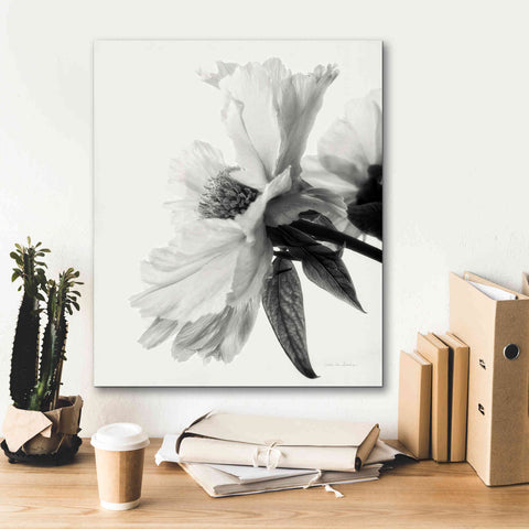 Image of 'Translucent Peony IVBW' by Debra Van Swearingen, Canvas Wall Art,20 x 24