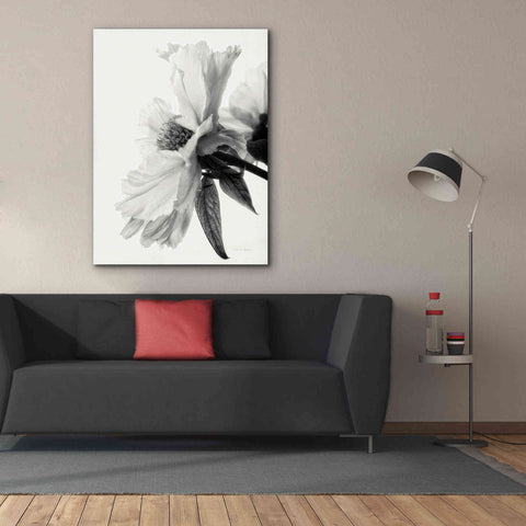 Image of 'Translucent Peony IVBW' by Debra Van Swearingen, Canvas Wall Art,40 x 54