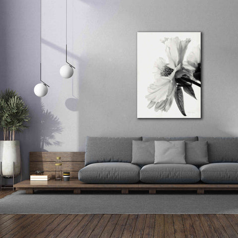 Image of 'Translucent Peony IVBW' by Debra Van Swearingen, Canvas Wall Art,40 x 54
