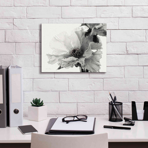 Image of 'Translucent Peony VBW' by Debra Van Swearingen, Canvas Wall Art,16 x 12