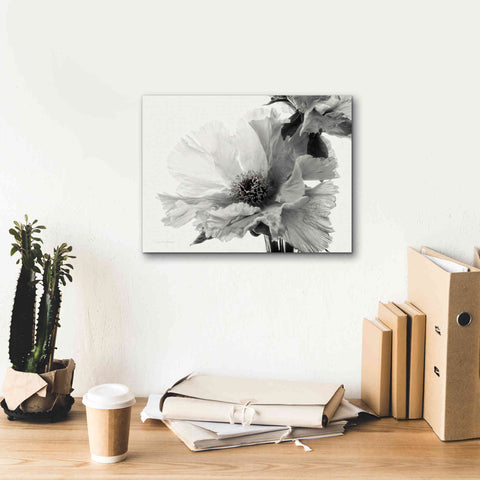 Image of 'Translucent Peony VBW' by Debra Van Swearingen, Canvas Wall Art,16 x 12