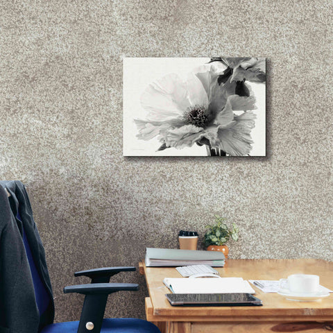 Image of 'Translucent Peony VBW' by Debra Van Swearingen, Canvas Wall Art,24 x 20