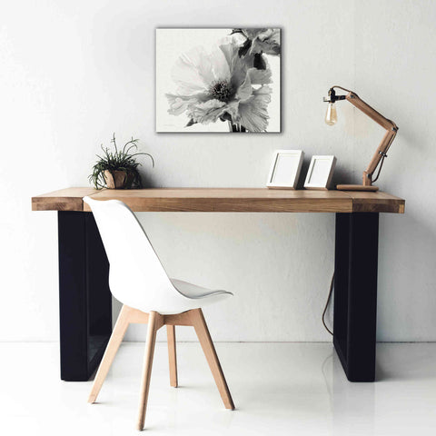 Image of 'Translucent Peony VBW' by Debra Van Swearingen, Canvas Wall Art,24 x 20