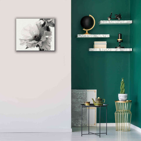 Image of 'Translucent Peony VBW' by Debra Van Swearingen, Canvas Wall Art,24 x 20