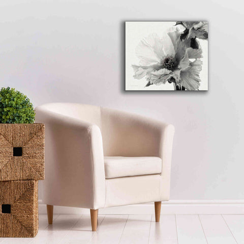 Image of 'Translucent Peony VBW' by Debra Van Swearingen, Canvas Wall Art,24 x 20