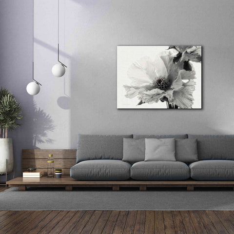 Image of 'Translucent Peony VBW' by Debra Van Swearingen, Canvas Wall Art,54 x 40