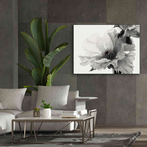 Image of 'Translucent Peony VBW' by Debra Van Swearingen, Canvas Wall Art,54 x 40