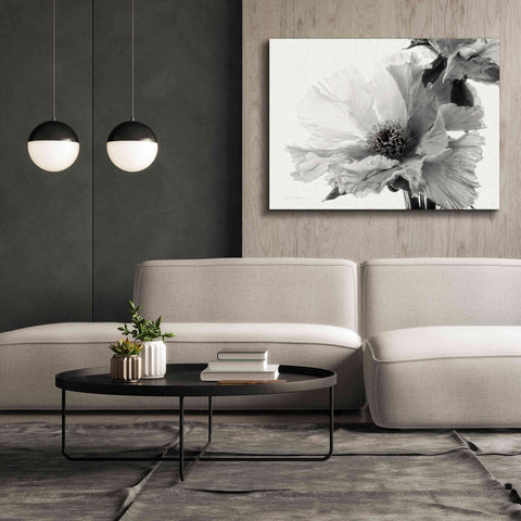 Image of 'Translucent Peony VBW' by Debra Van Swearingen, Canvas Wall Art,54 x 40