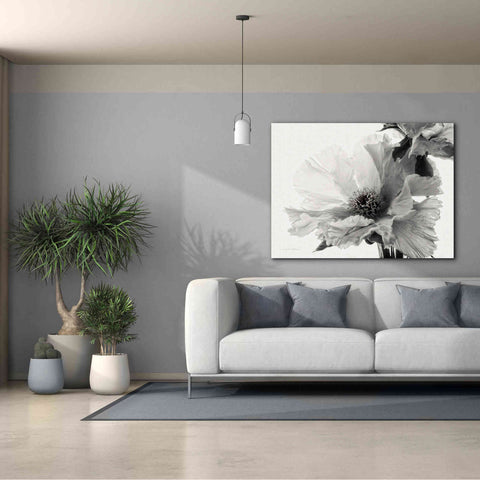 Image of 'Translucent Peony VBW' by Debra Van Swearingen, Canvas Wall Art,54 x 40