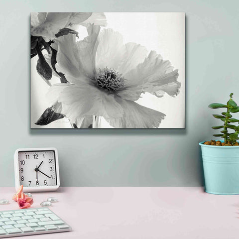 Image of 'Translucent Peony VIBW' by Debra Van Swearingen, Canvas Wall Art,16 x 12