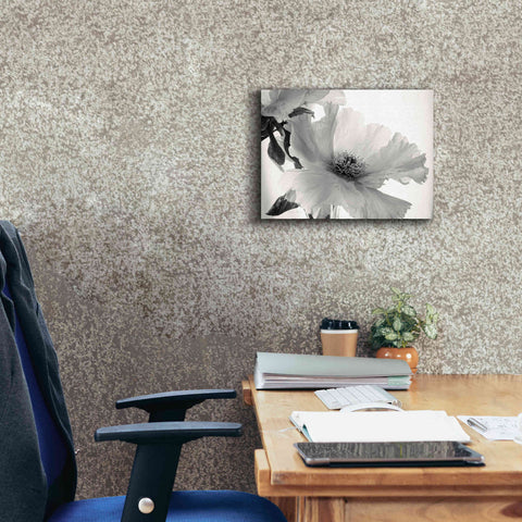 Image of 'Translucent Peony VIBW' by Debra Van Swearingen, Canvas Wall Art,16 x 12