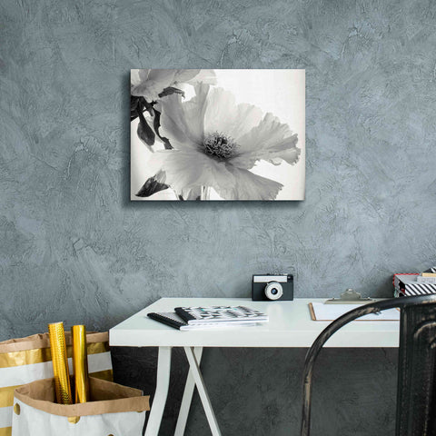 Image of 'Translucent Peony VIBW' by Debra Van Swearingen, Canvas Wall Art,16 x 12