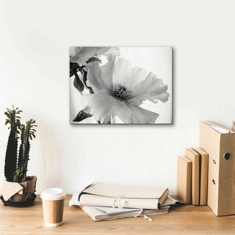 Image of 'Translucent Peony VIBW' by Debra Van Swearingen, Canvas Wall Art,16 x 12
