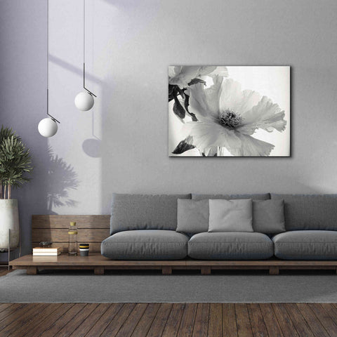 Image of 'Translucent Peony VIBW' by Debra Van Swearingen, Canvas Wall Art,54 x 40